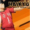 ky HAIKYU!! FLY HIGH – 6,480 Star Gems